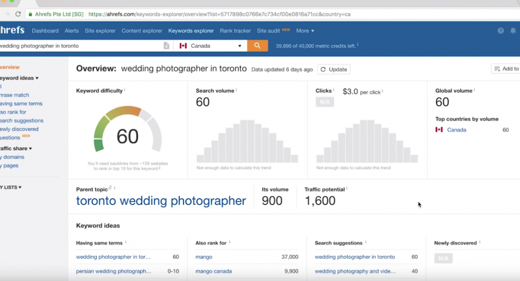 koliko stane optimizacija spletne strani koliko stane optimizacija spletne strani